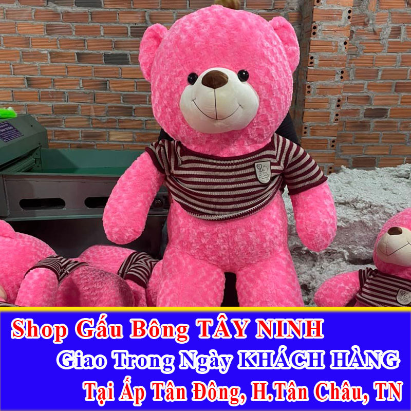 Shop Gấu Bông Giao Trong Ngày Tại Ấp Tân Đông Tân Thành