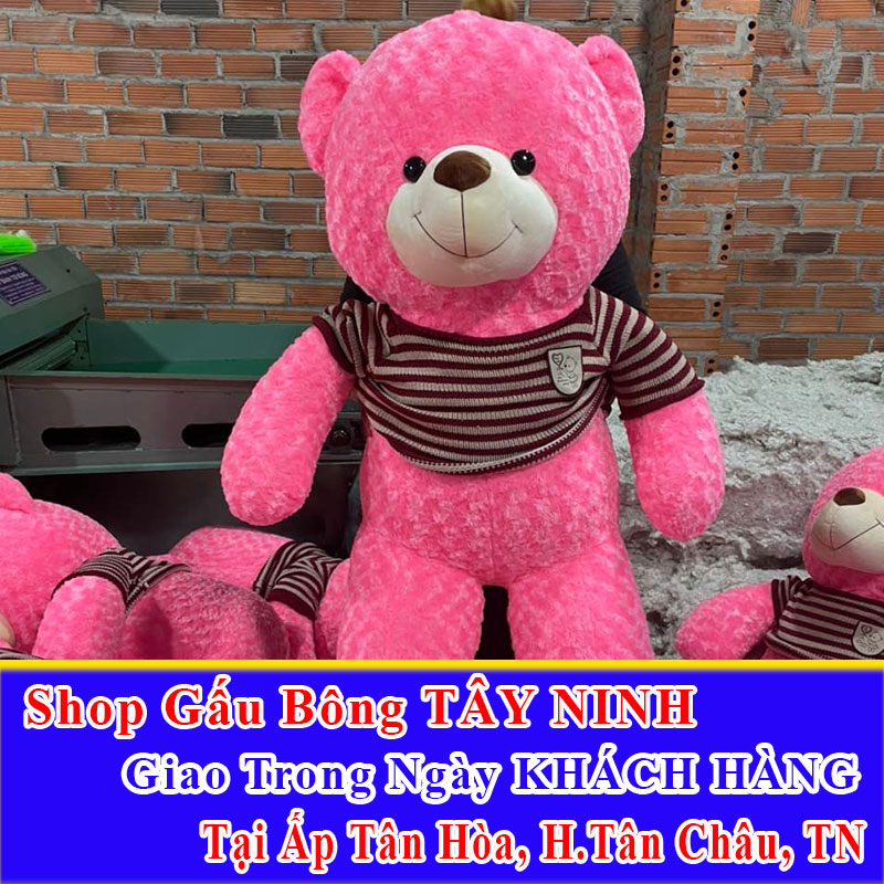 Shop Gấu Bông Giao Trong Ngày Cho Khách Tại Ấp Tân Hòa Tân Phú