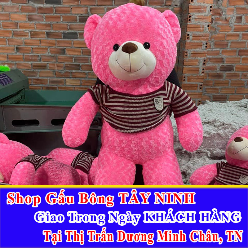 Shop Gấu Bông Giao Trong Ngày Tại Thị Trấn Dương Minh Châu
