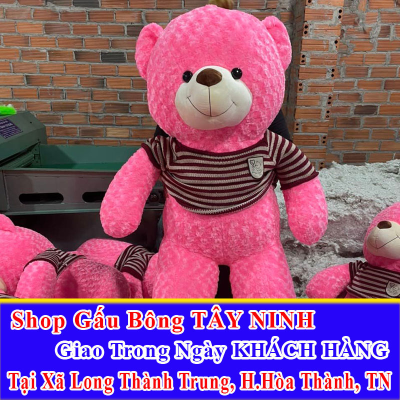 Shop Gấu Bông Giao Trong Ngày Cho Khách Tại Xã Long Thành Trung