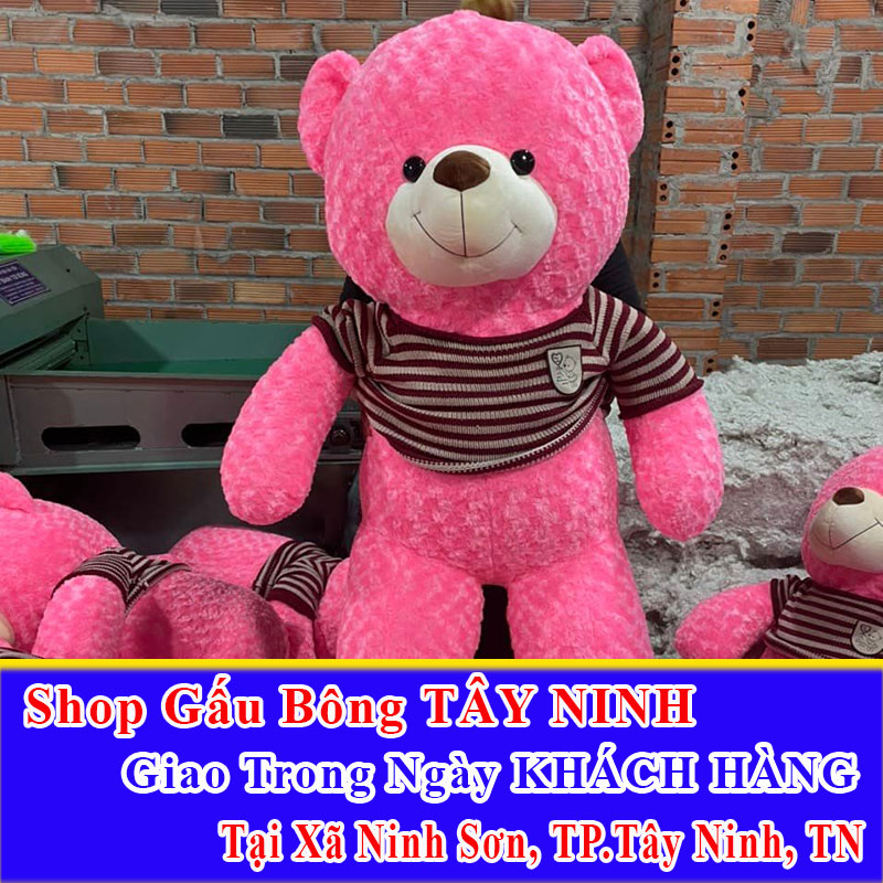 Shop Gấu Bông Giao Trong Ngày Cho Khách Tại Xã Ninh Sơn