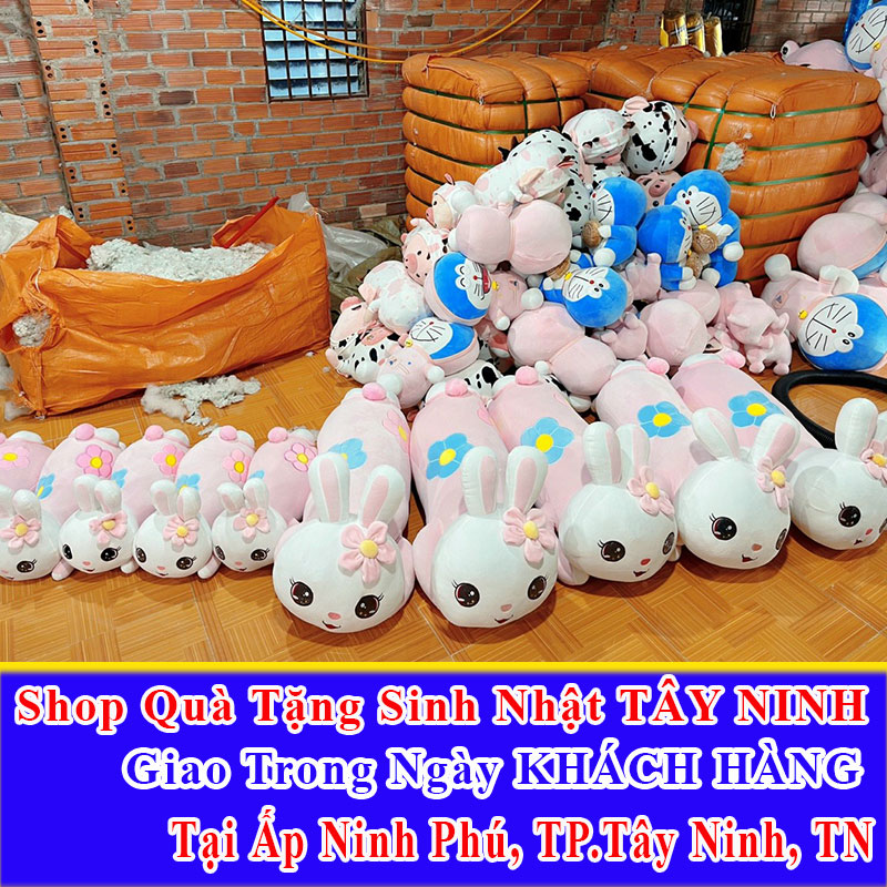 Shop Quà Tặng Sinh Nhật Giao Trong Ngày Tại Ấp Ninh Phú