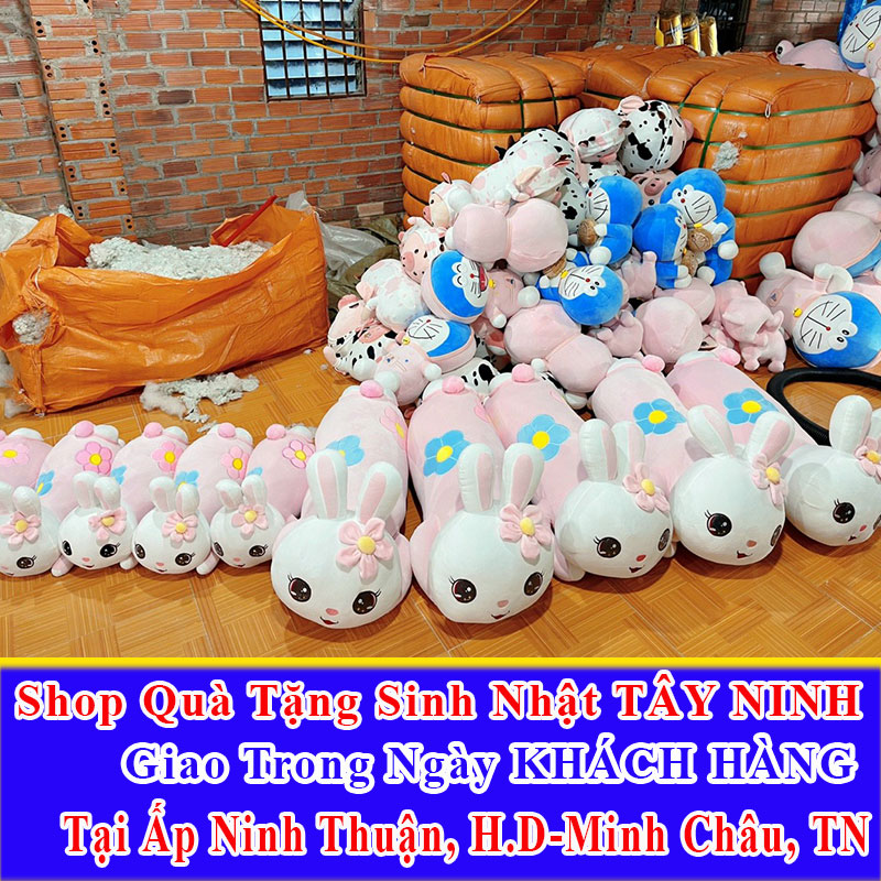 Shop Quà Tặng Sinh Nhật Giao Trong Ngày Tại Ấp Ninh Thuận