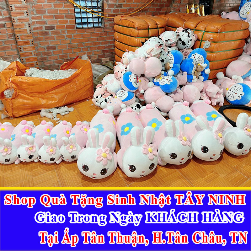 Shop Quà Tặng Sinh Nhật Giao Trong Ngày Tại Ấp Tân Thuận