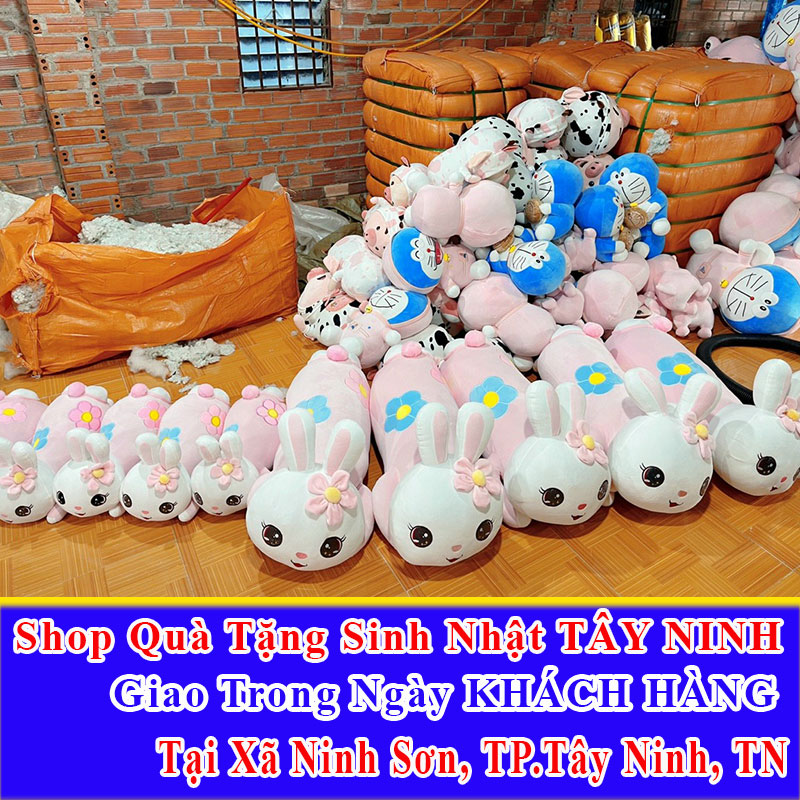 Shop Quà Tặng Sinh Nhật Giao Trong Ngày Tại Xã Ninh Sơn