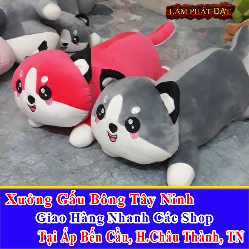 Xưởng Gấu Bông Đồng Giá 39K Ship Cod Đến Ấp Bến Cầu