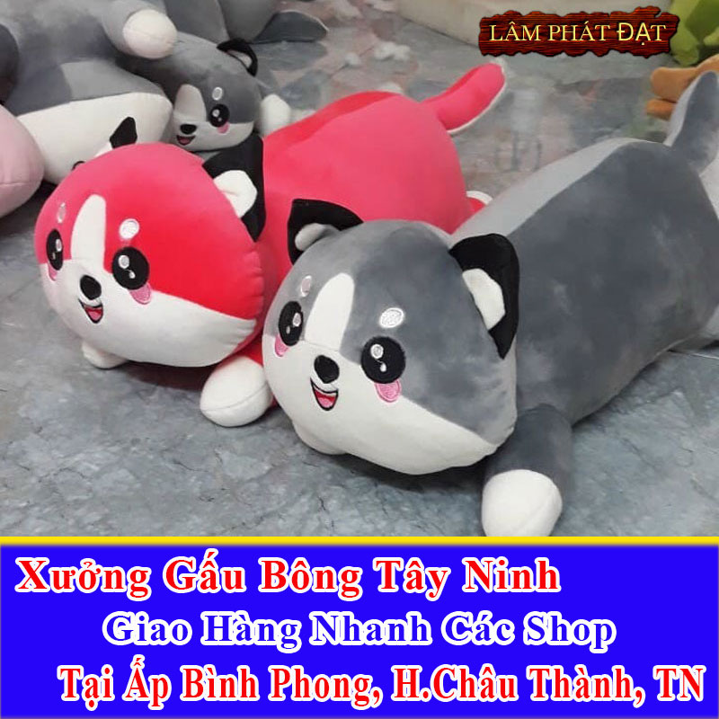 Xưởng Gấu Bông Đồng Giá 39K Ship Cod Đến Ấp Bình Phong
