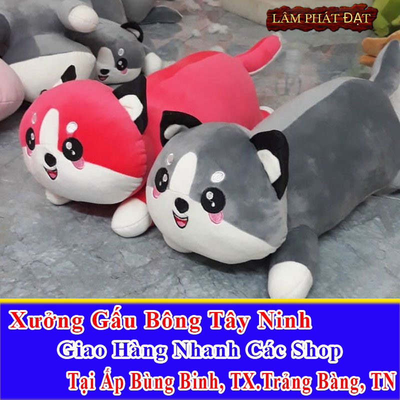 Xưởng Gấu Bông Đồng Giá 39K Ship Cod Đến Ấp Bùng Binh