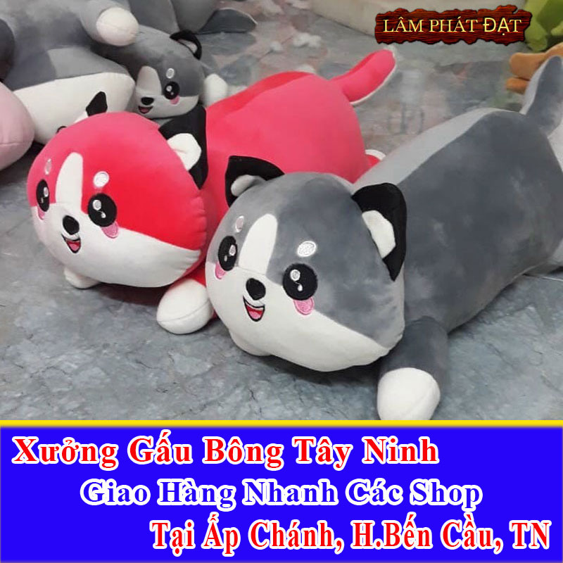 Xưởng Gấu Bông Đồng Giá 39K Ship Cod Ấp Chánh An Thạnh
