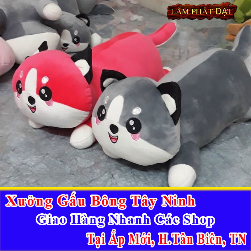 Xưởng Gấu Bông Đồng Giá 39K Ship Cod Đến Ấp Mới