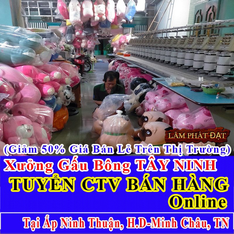 Xưởng Gấu Bông Bán Lẻ Giá Xả Kho Tuyển CTV Ấp Ninh Thuận