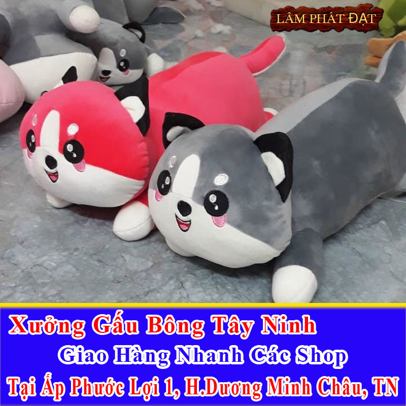 Xưởng Gấu Bông Đồng Giá 39K Ship Cod Đến Ấp Phước Lợi 1