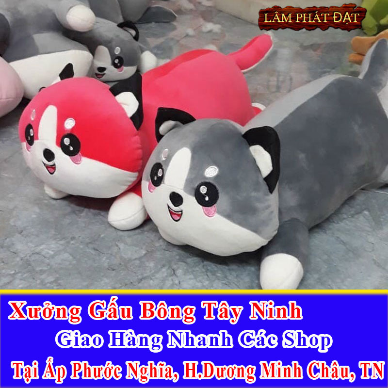 Xưởng Gấu Bông Đồng Giá 39K Ship Cod Đến Ấp Phước Nghĩa