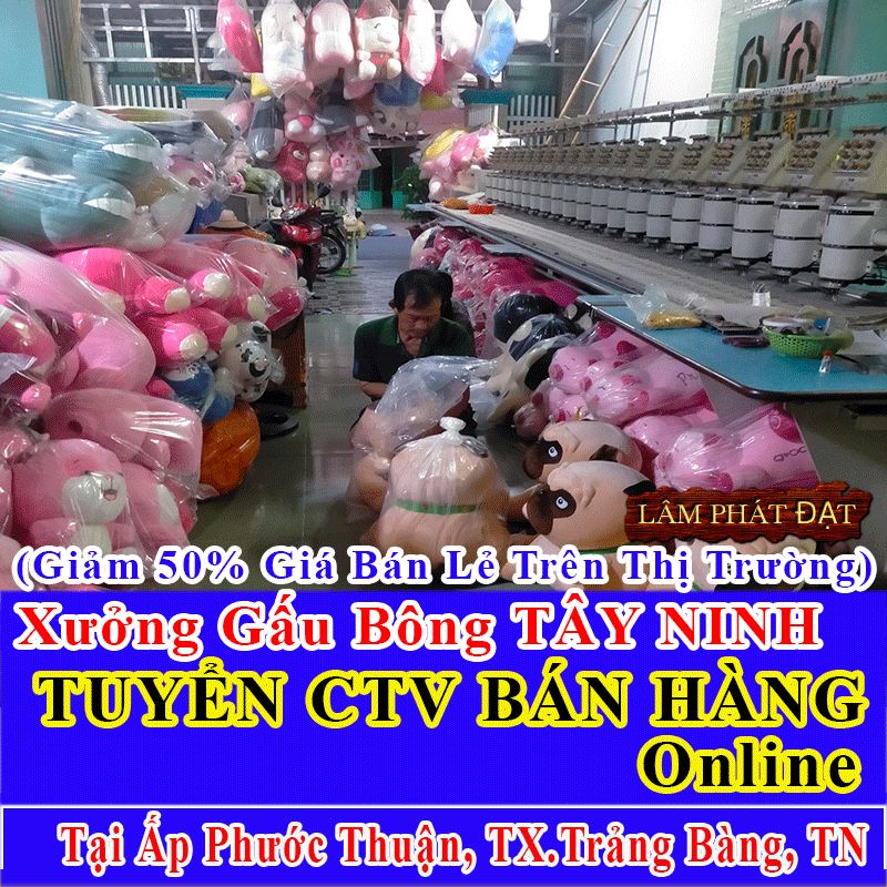 Xưởng Gấu Bông Bán Lẻ Giá Xả Kho Tuyển CTV Ấp Phước Thuận
