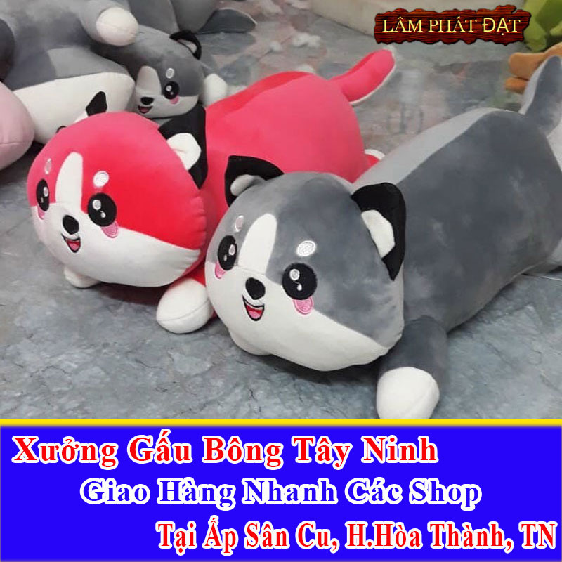 Xưởng Gấu Bông Đồng Giá 39K Ship Cod Đến Ấp Sân Cu