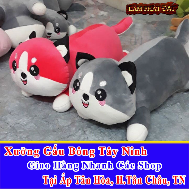 Xưởng Gấu Bông Đồng Giá 39K Ship Cod Ấp Tân Hòa Tân Phú