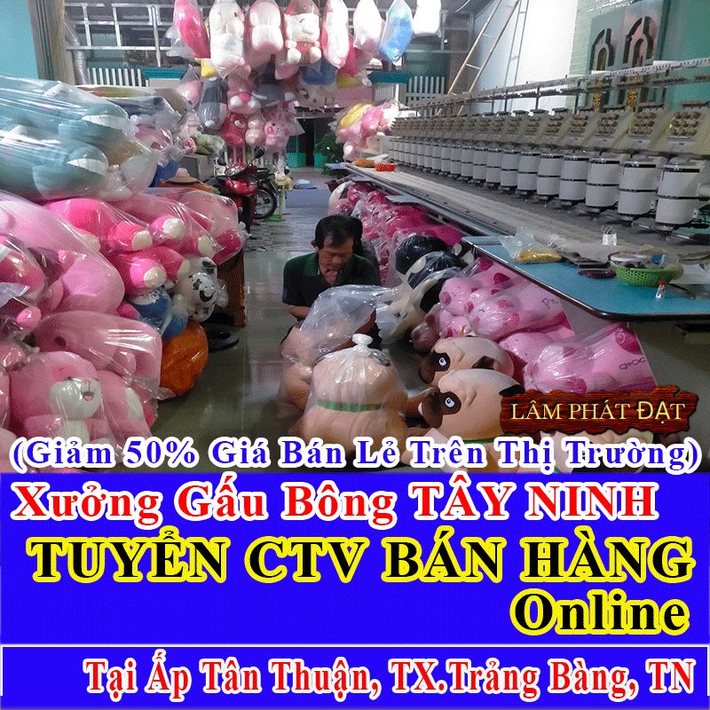 Xưởng Gấu Bông Nhà Làm Bán Lẻ Giá Xả Kho Tuyển CTV Ấp Tân Thuận Hưng Thuận