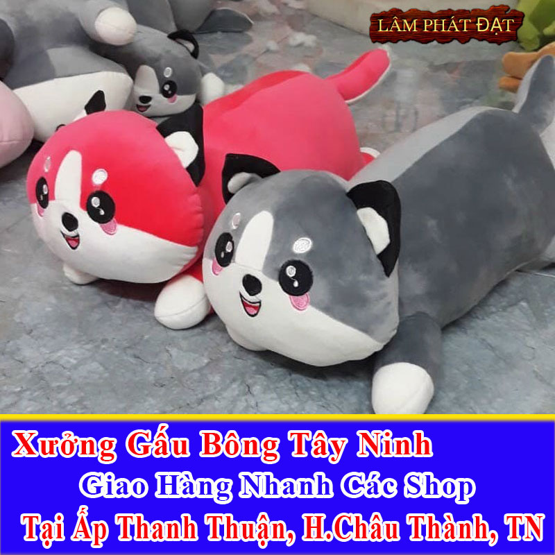 Xưởng Gấu Bông Đồng Giá 39K Ship Cod Đến Ấp Thanh Thuận
