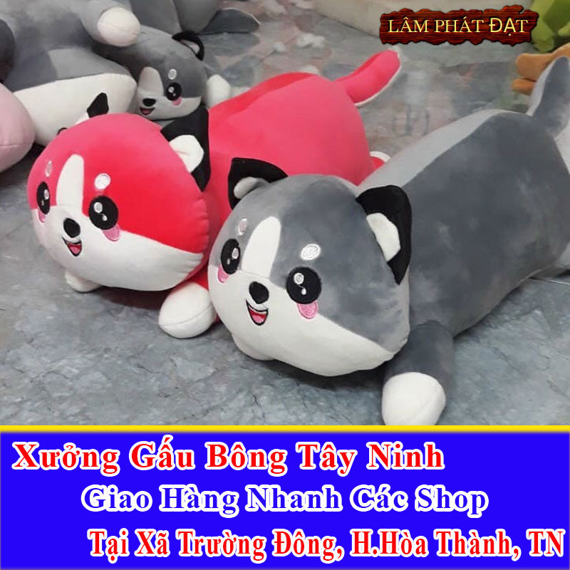Xưởng Gấu Bông Đồng Giá 39K Ship Cod Đến Xã Trường Đông