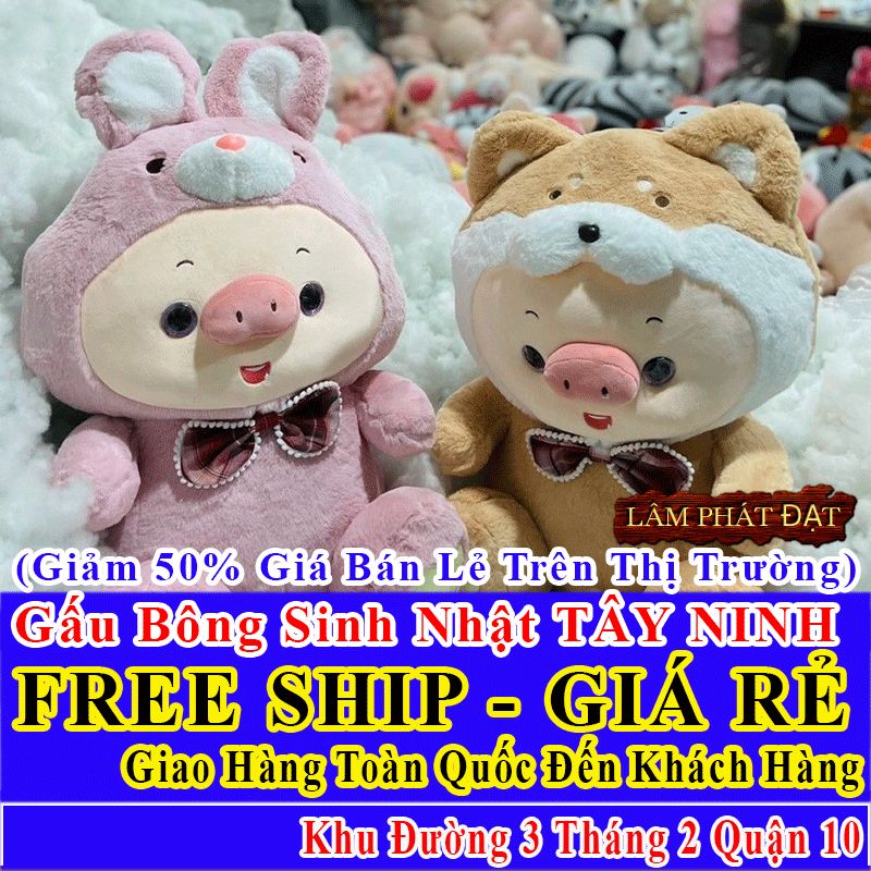 Shop Quà Tặng Sinh Nhật FreeShip Toàn Quốc Đến Đường 3 Tháng 2 Q10