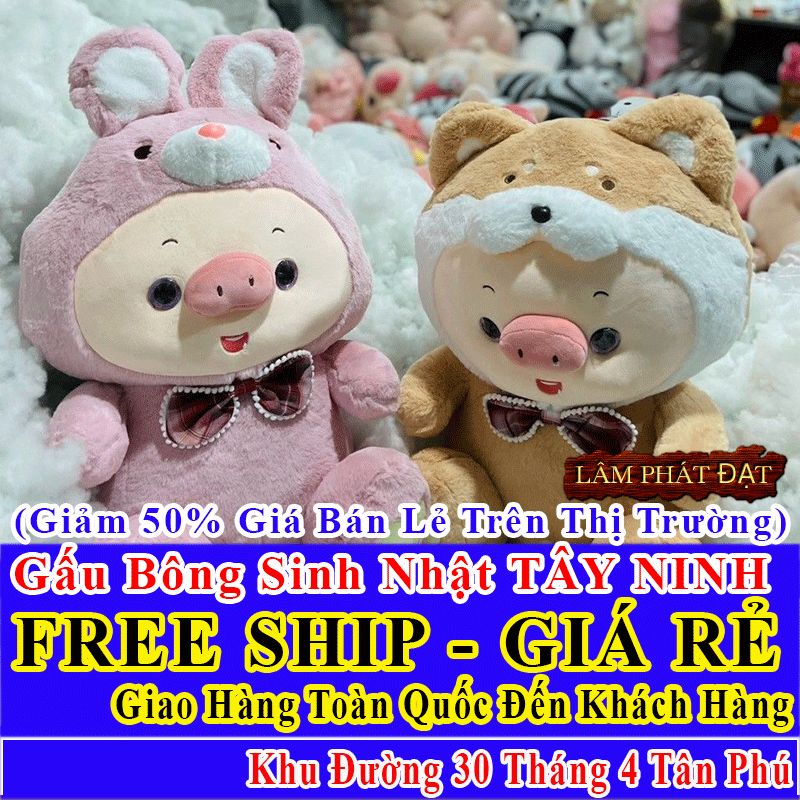 Shop Quà Tặng Sinh Nhật FreeShip Toàn Quốc Đến Đường 30 Tháng 4 Tân Phú