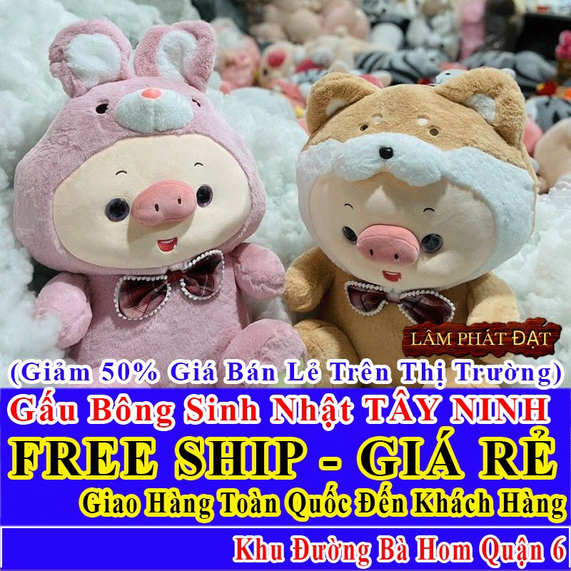 Shop Quà Tặng Sinh Nhật FreeShip Toàn Quốc Đến Đường Bà Hom Q6