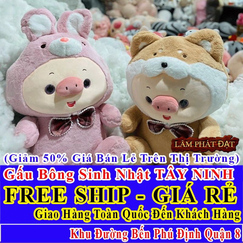 Shop Quà Tặng Sinh Nhật FreeShip Toàn Quốc Đến Đường Bến Phú Định Q8