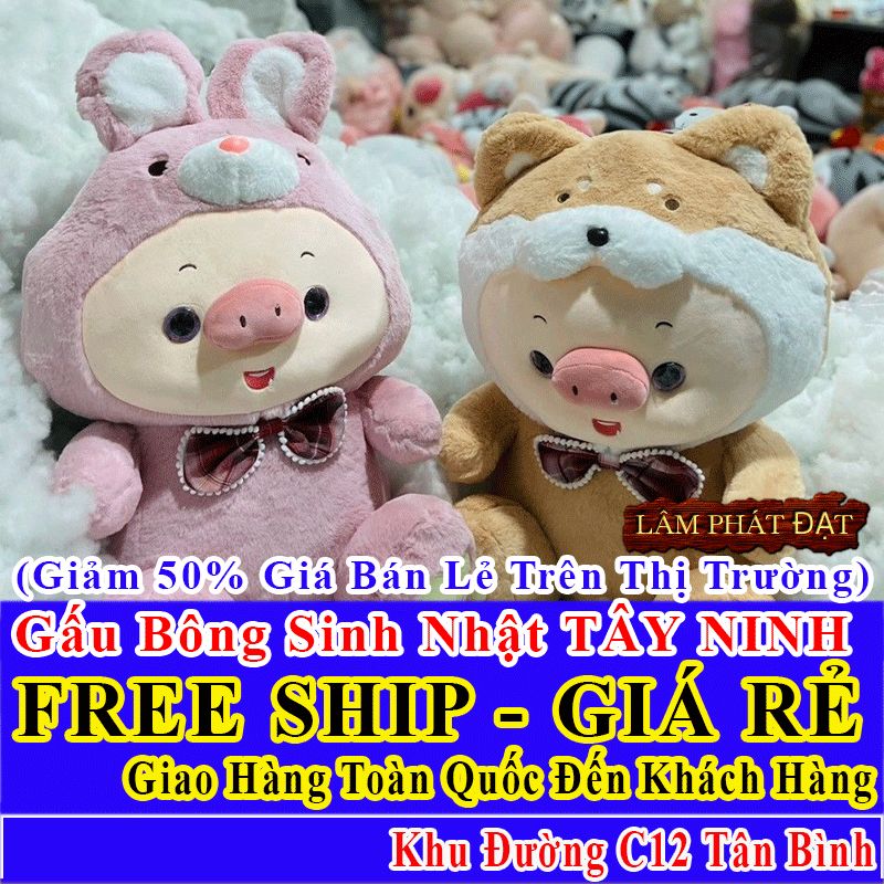 Shop Quà Tặng Sinh Nhật FreeShip Toàn Quốc Đến Đường C12 Tân Bình