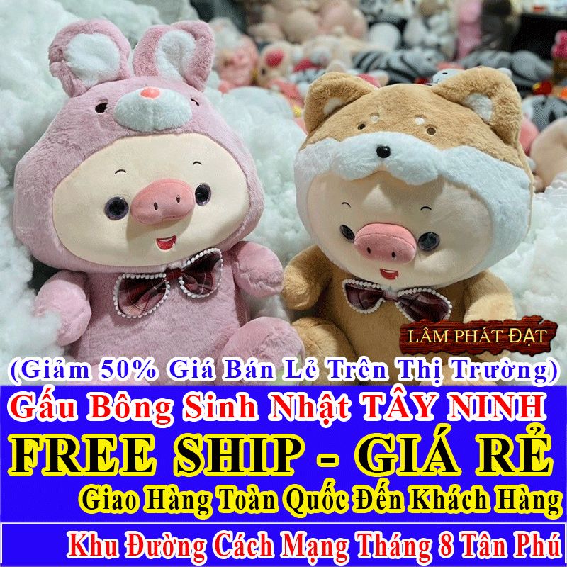 Shop Quà Tặng Sinh Nhật FreeShip Toàn Quốc Đến Đường Cách Mạng Tháng 8 Tân Phú