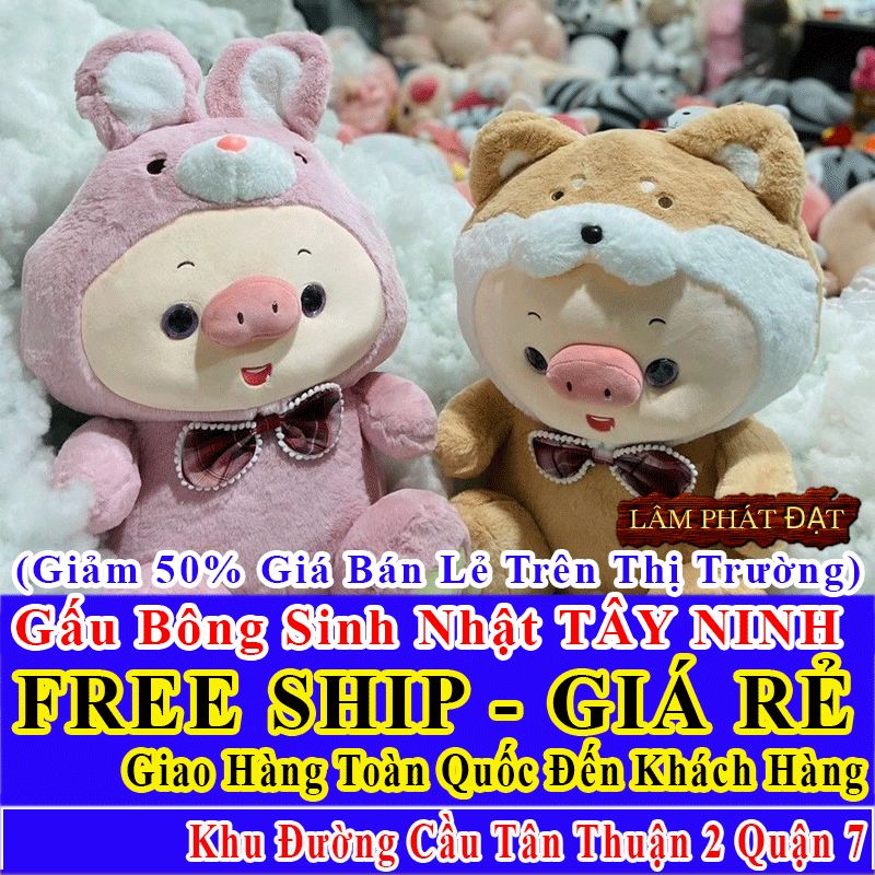 Shop Quà Tặng Sinh Nhật FreeShip Toàn Quốc Đến Đường Cầu Tân Thuận 2 Q7