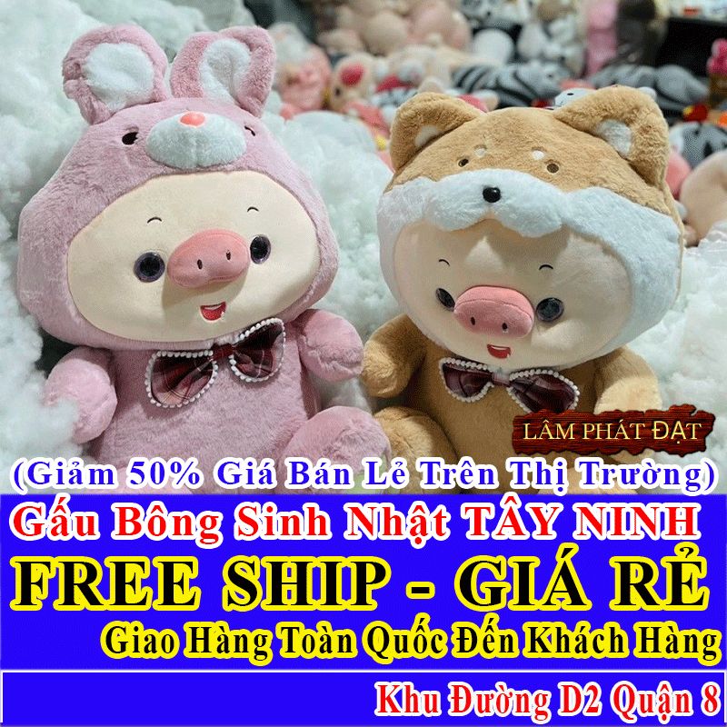 Shop Quà Tặng Sinh Nhật FreeShip Toàn Quốc Đến Đường D2 Q8