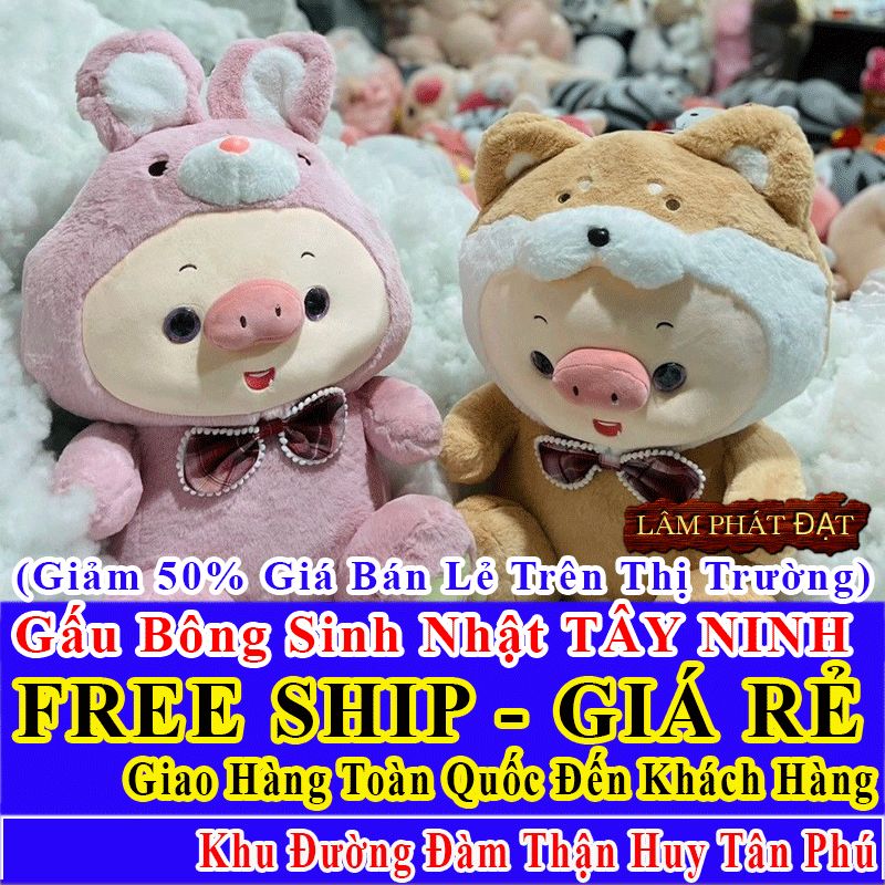 Shop Quà Tặng Sinh Nhật FreeShip Toàn Quốc Đến Đường Đàm Thận Huy Tân Phú