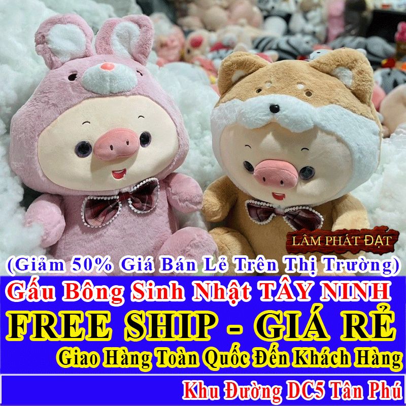 Shop Quà Tặng Sinh Nhật FreeShip Toàn Quốc Đến Đường DC5 Tân Phú