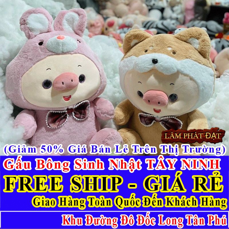 Shop Quà Tặng Sinh Nhật FreeShip Toàn Quốc Đến Đường Đô Đốc Long Tân Phú