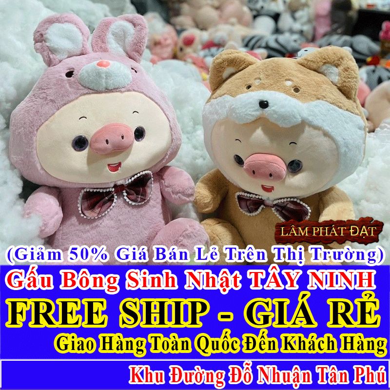 Quà Tặng Sinh Nhật Đường Đỗ Nhuận Tân Phú FreeSHIP