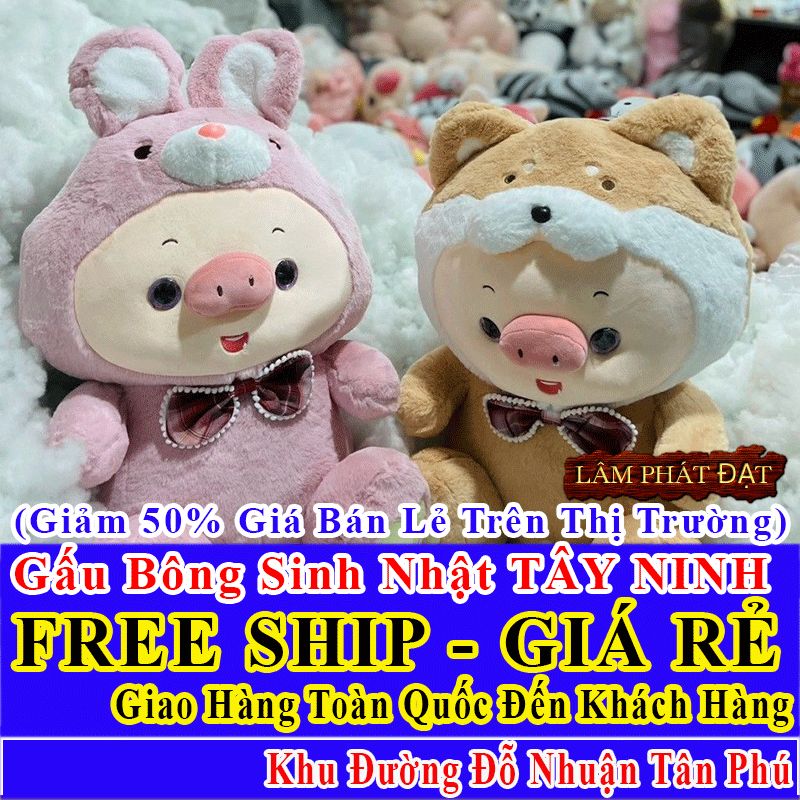 Shop Quà Tặng Sinh Nhật FreeShip Toàn Quốc Đến Đường Đỗ Nhuận Tân Phú