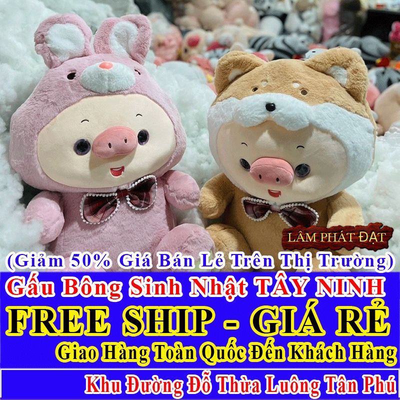 Shop Quà Tặng Sinh Nhật FreeShip Toàn Quốc Đến Đường Đỗ Thừa Luông Tân Phú