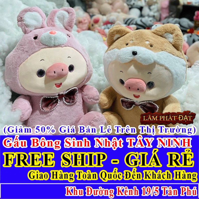 Shop Quà Tặng Sinh Nhật FreeShip Toàn Quốc Đến Đường Kênh 19-5 Tân Phú
