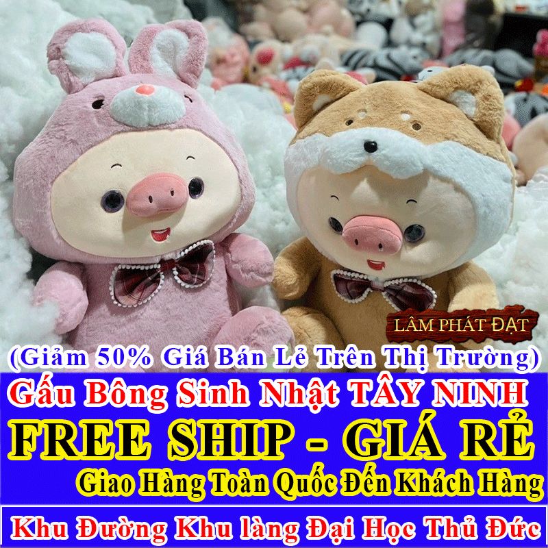 Shop Quà Tặng Sinh Nhật FreeShip Toàn Quốc Đến Đường Khu Làng Đại Học Thủ Đức