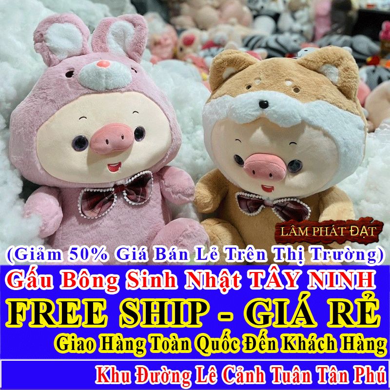 Shop Quà Tặng Sinh Nhật FreeShip Toàn Quốc Đến Đường Lê Cảnh Tuân Tân Phú