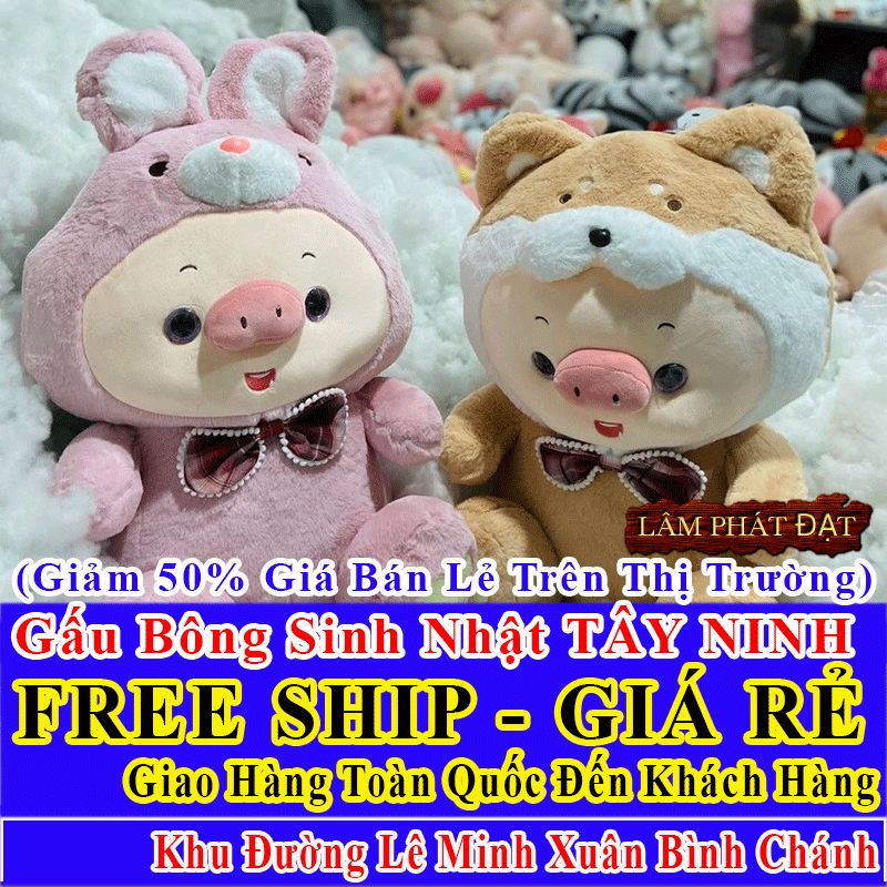 Shop Quà Tặng Sinh Nhật FreeShip Toàn Quốc Đến Đường Lê Minh Xuân Bình Chánh