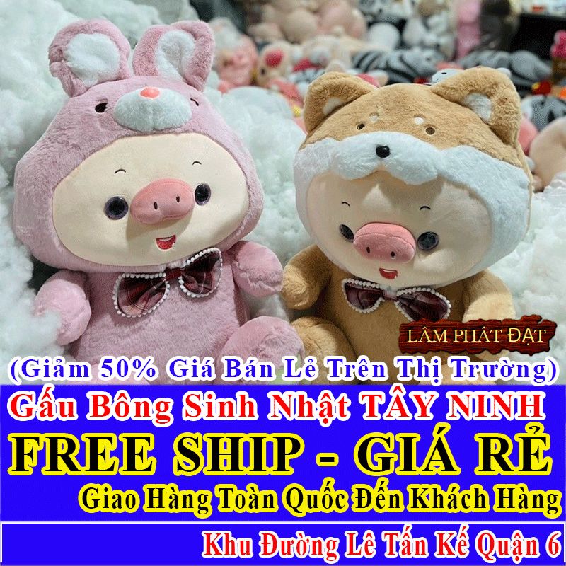 Shop Quà Tặng Sinh Nhật FreeShip Toàn Quốc Đến Đường Lê Tấn Kế Q6