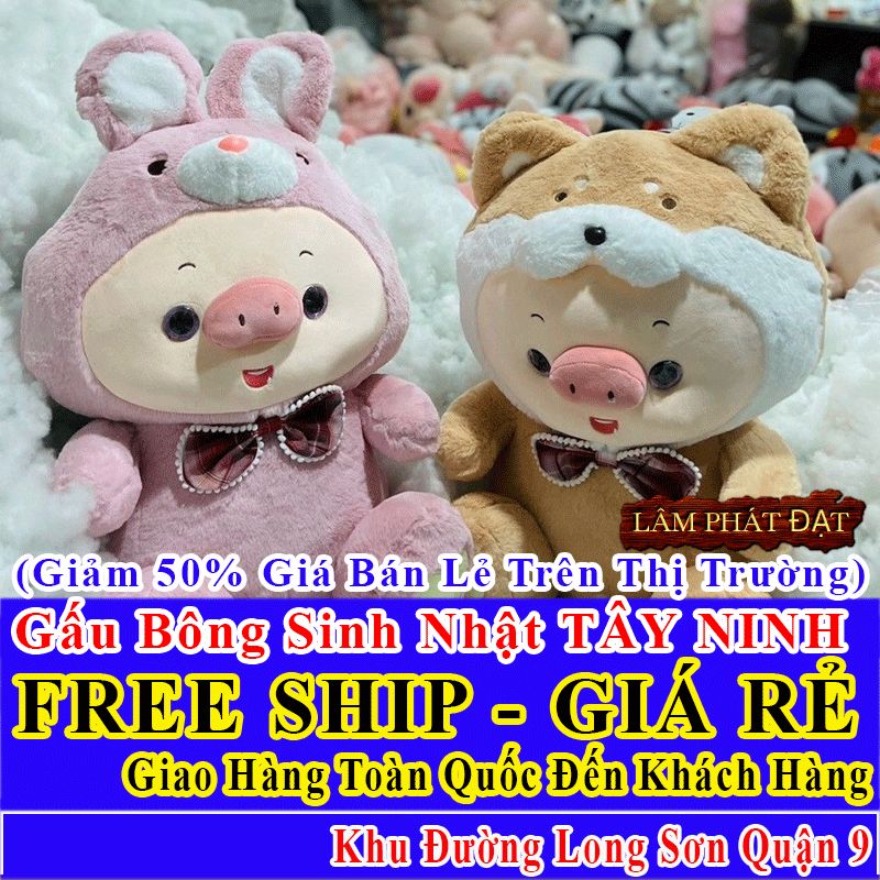 Shop Quà Tặng Sinh Nhật FreeShip Toàn Quốc Đến Đường Long Sơn Q9