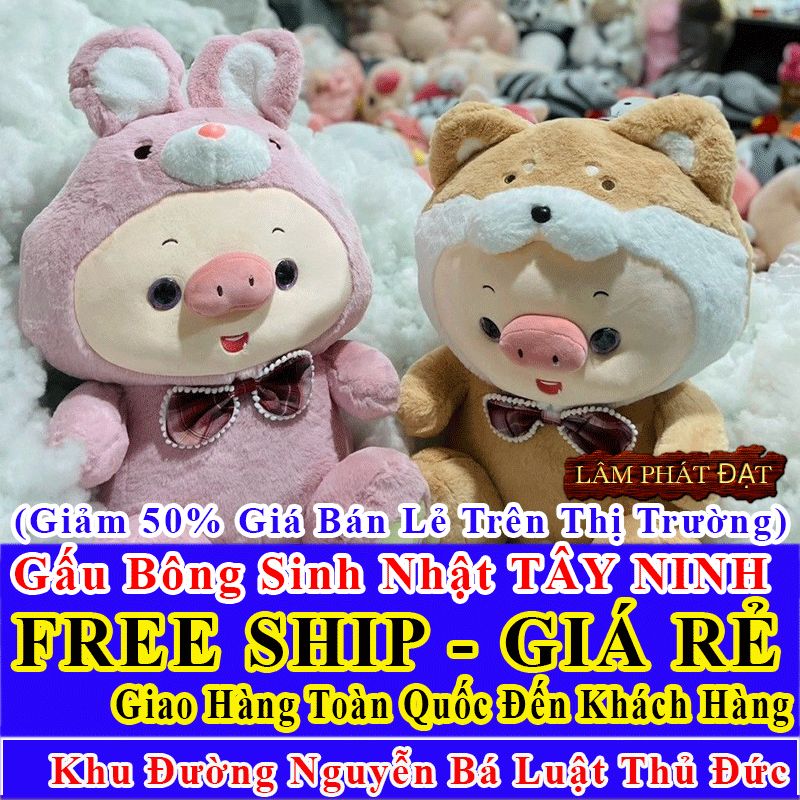Shop Quà Tặng Sinh Nhật FreeShip Toàn Quốc Đến Đường Nguyễn Bá Luật Thủ Đức