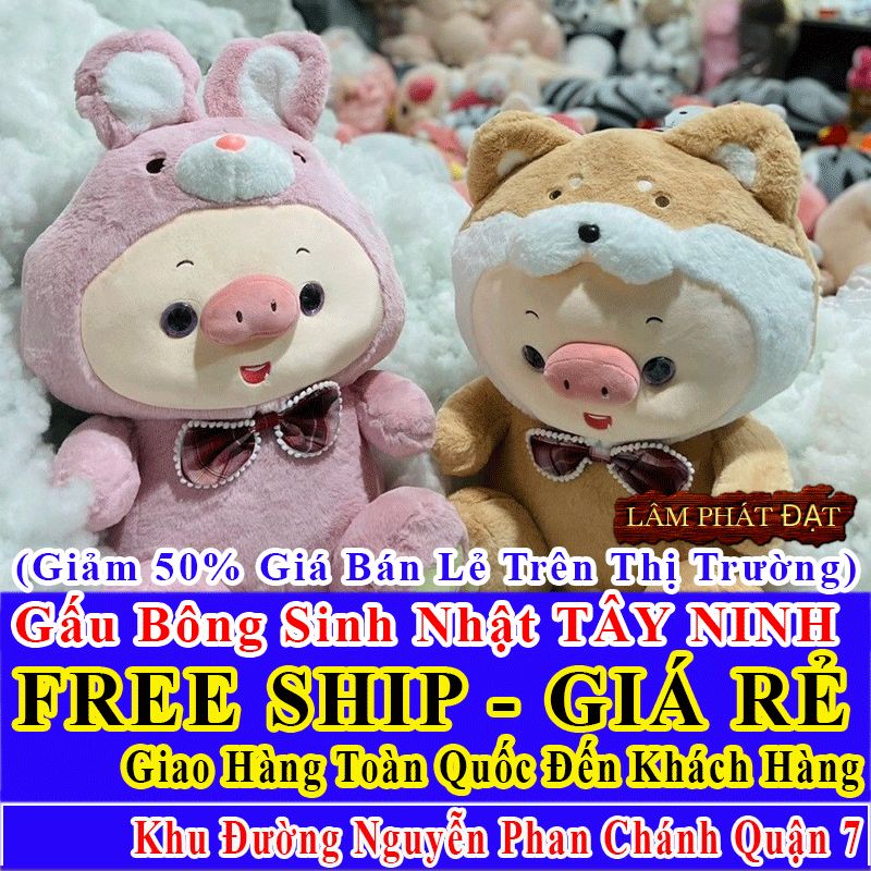 Shop Quà Tặng Sinh Nhật FreeShip Toàn Quốc Đến Đường Nguyễn Phan Chánh Q7