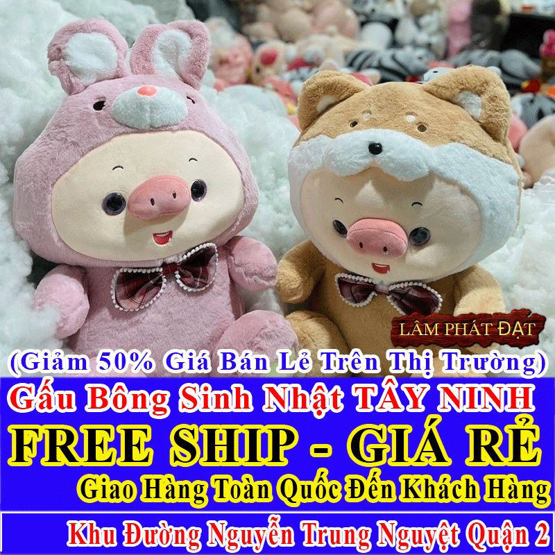 Shop Quà Tặng Sinh Nhật FreeShip Toàn Quốc Đến Đường Nguyễn Trung Nguyệt Q2