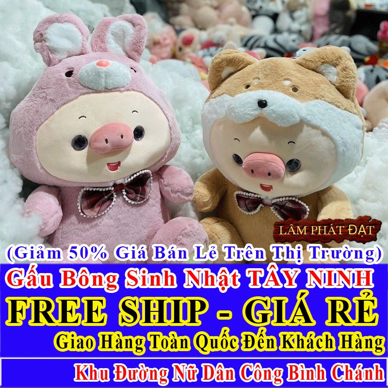 Shop Quà Tặng Sinh Nhật FreeShip Toàn Quốc Đến Đường Nữ Dân Công Bình Chánh