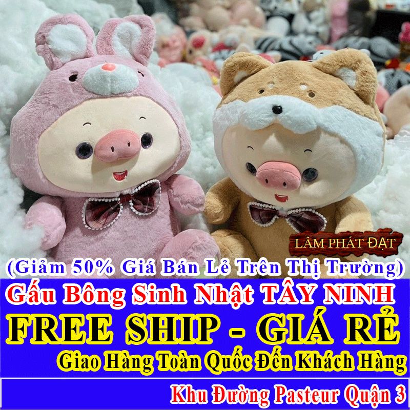 Shop Quà Tặng Sinh Nhật FreeShip Toàn Quốc Đến Đường Pasteur Q3