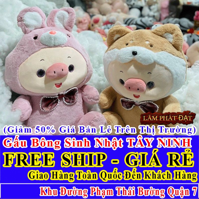 Shop Quà Tặng Sinh Nhật FreeShip Toàn Quốc Đến Đường Phạm Thái Bường Q7