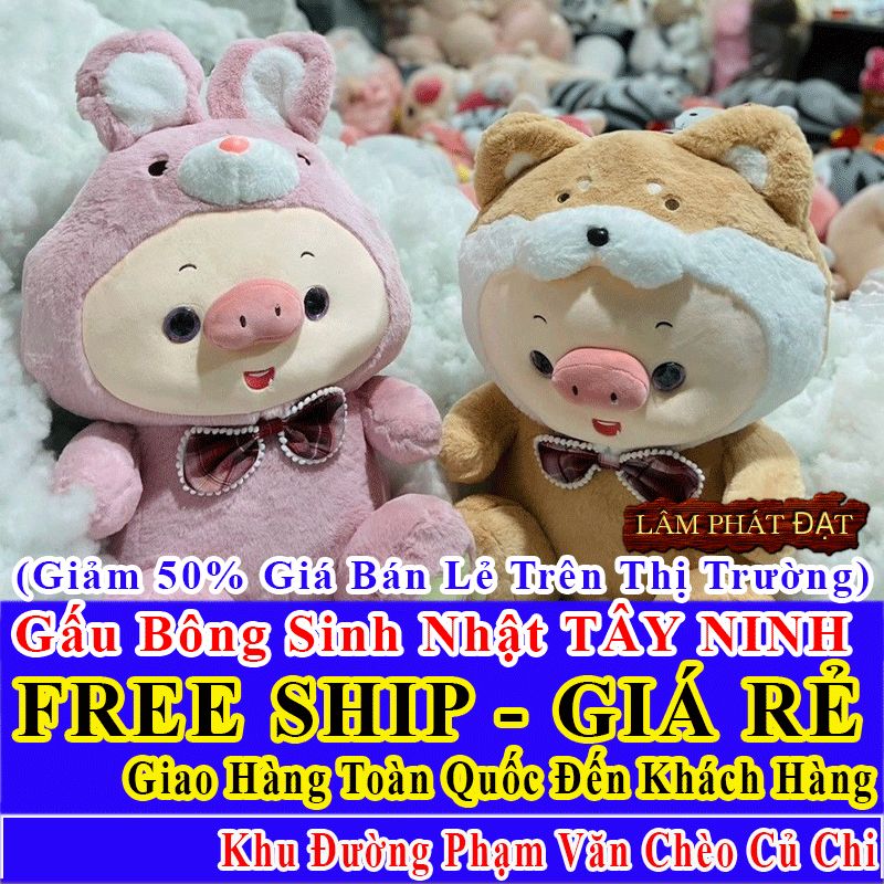 Shop Quà Tặng Sinh Nhật FreeShip Toàn Quốc Đến Đường Phạm Văn Chèo Củ Chi